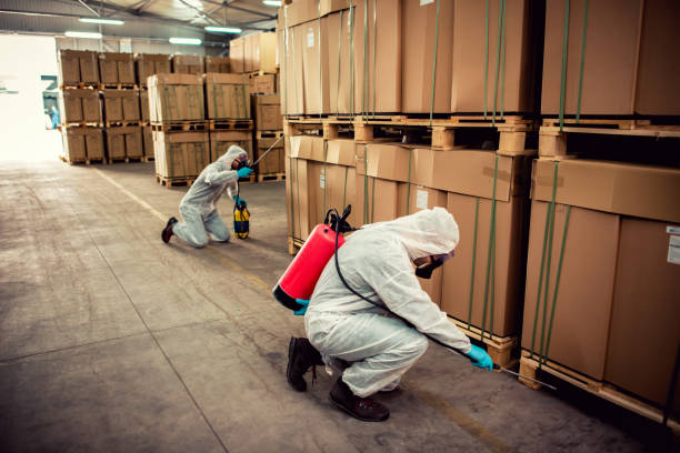 Best Wildlife Control Services  in Delcambre, LA