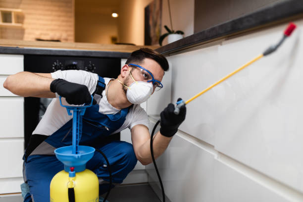 Best Bed Bug Extermination  in Delcambre, LA