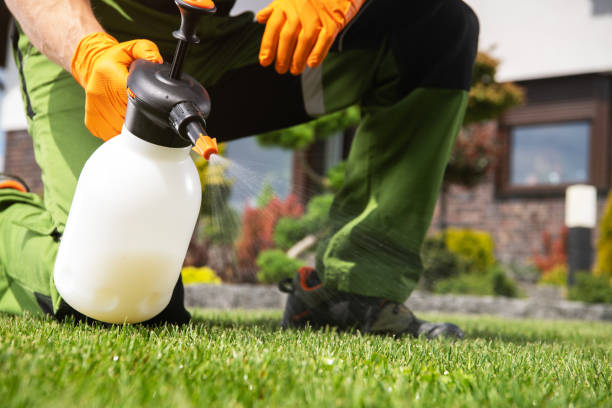 Best Best Pest Control Companies  in Delcambre, LA