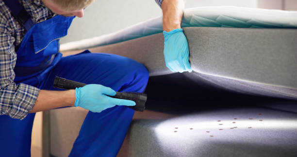Best Wasp Removal Services  in Delcambre, LA