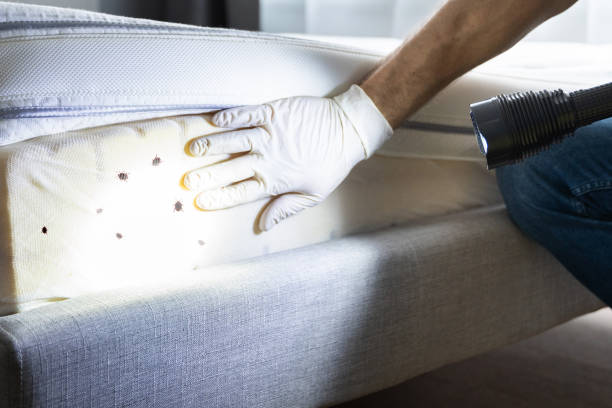 Best Pest Control Near Me  in Delcambre, LA