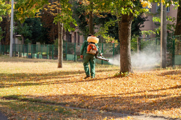 Pest Control for Restaurants in Delcambre, LA