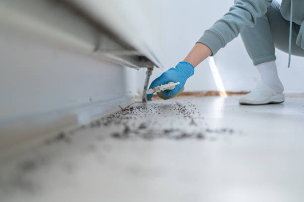 Best Affordable Pest Control Services  in Delcambre, LA