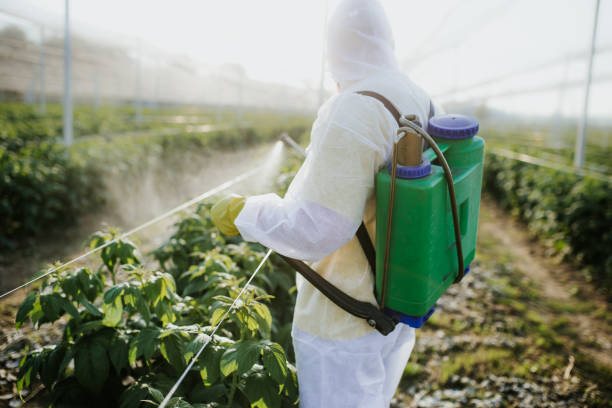 Best Insect Control  in Delcambre, LA